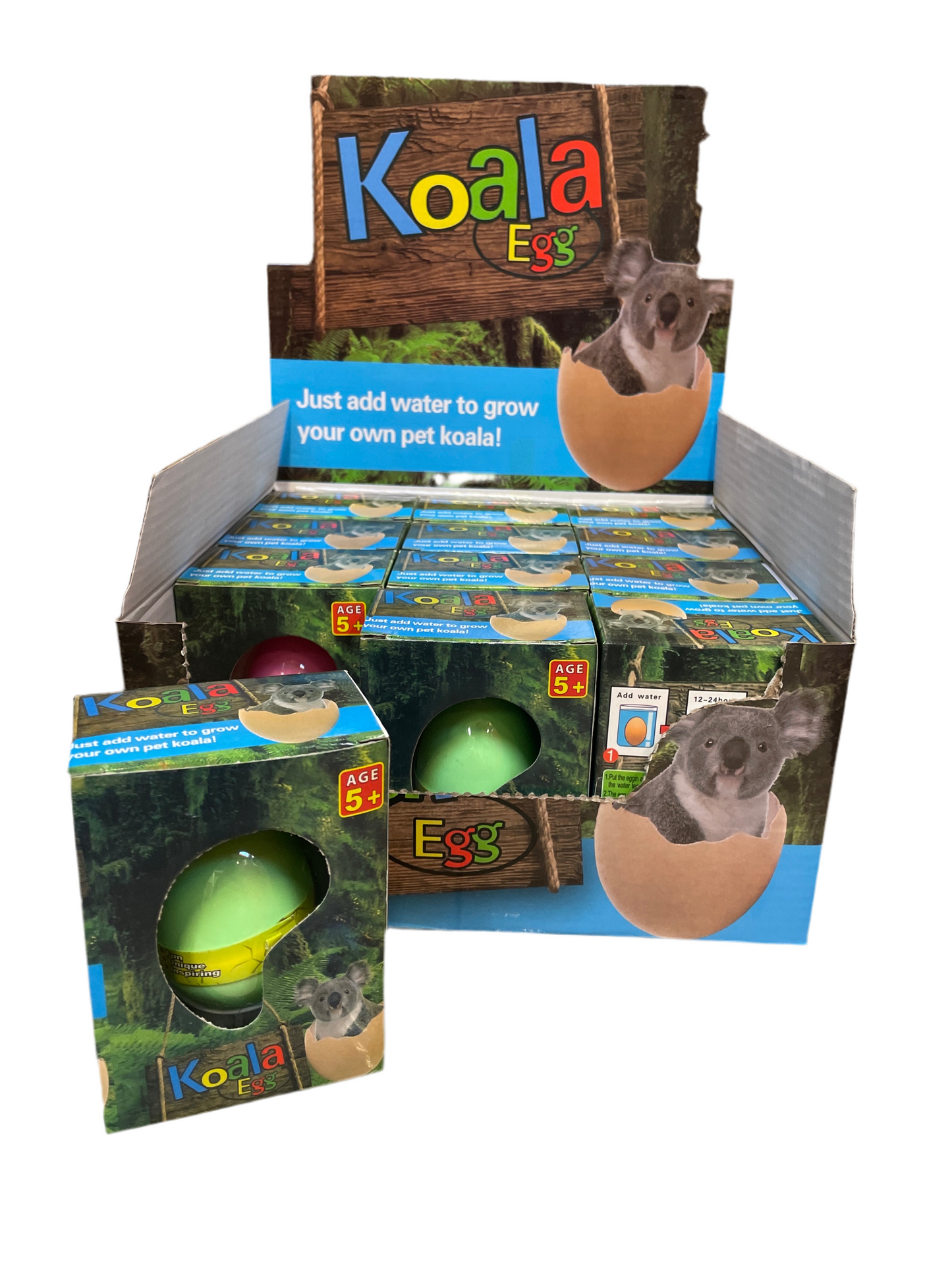 (7,2kr) Growing egg KOALA