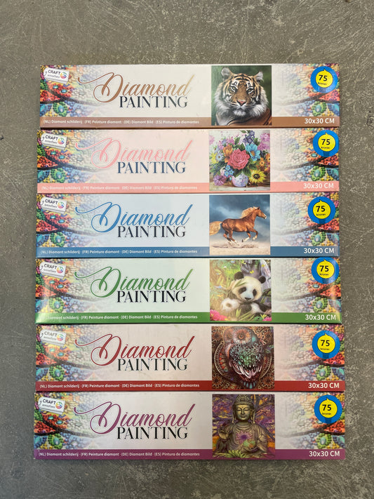 (16kr) Diamond painting 30x30 6ass
