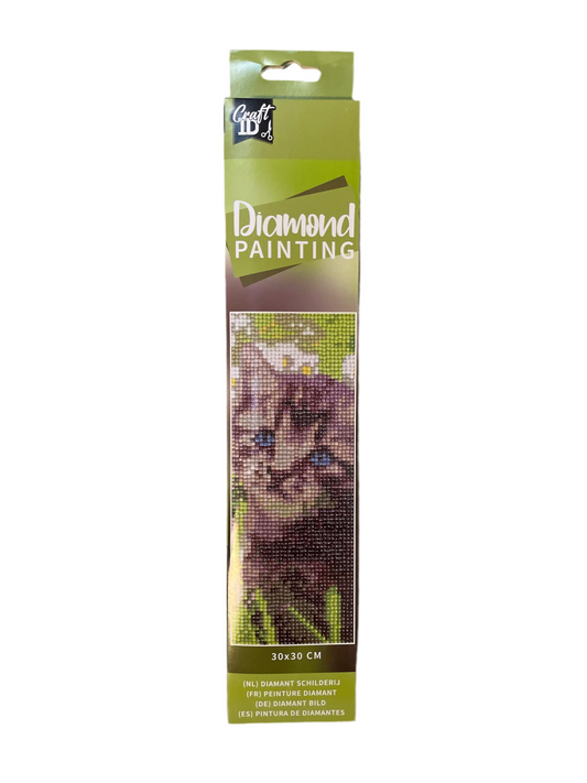 (20kr) Diamond Painting kat 30x30
